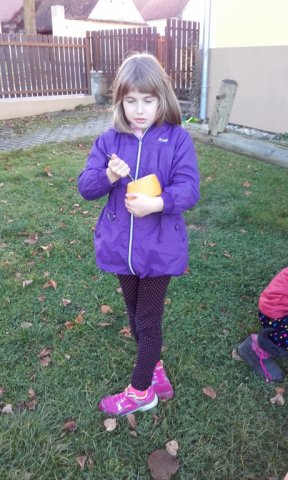 20161102_155528